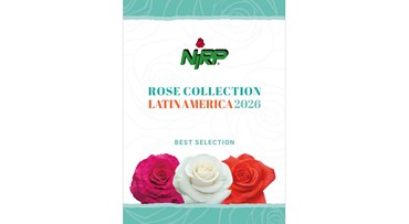 Catalogue Cut Roses LATIN AMERICA 2026