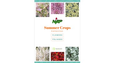 Catalogue East Africa SUMMER CROPS Collection